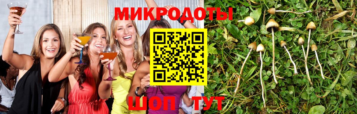 Галлюциногенные грибы мухоморы Нижний Тагил
