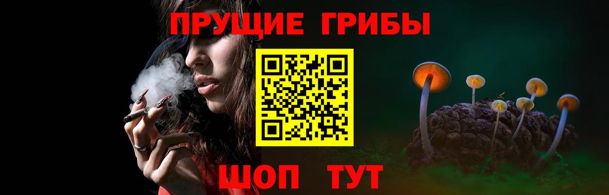 где можно купить наркотик  Вход с VPN  Нижний Тагил  Галлюциногенные грибы Psilocybe 